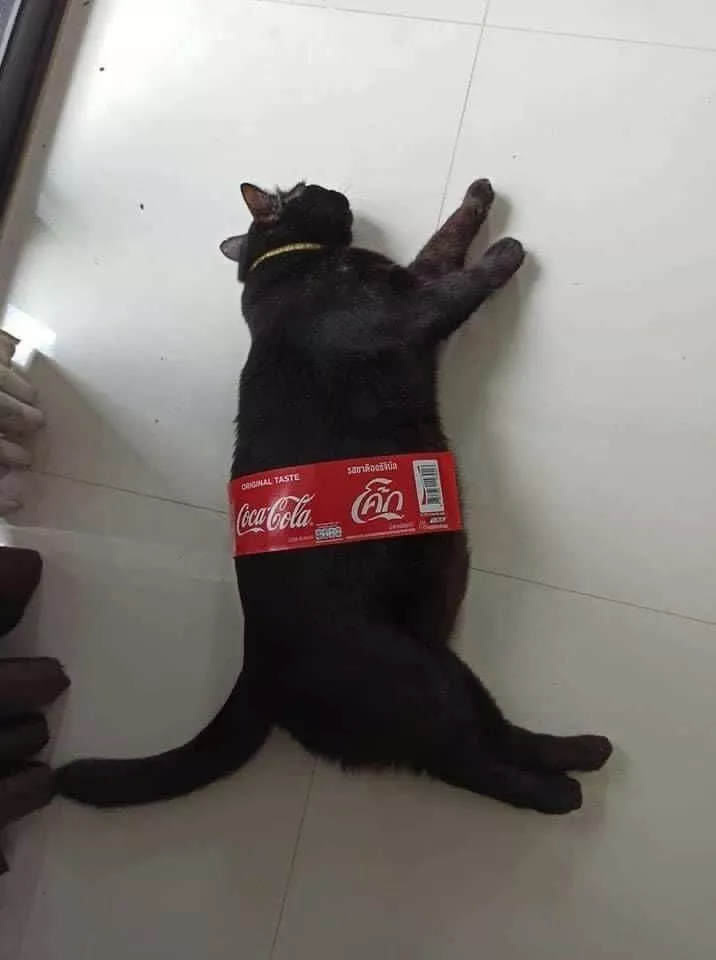 Picdump 670 - #48 