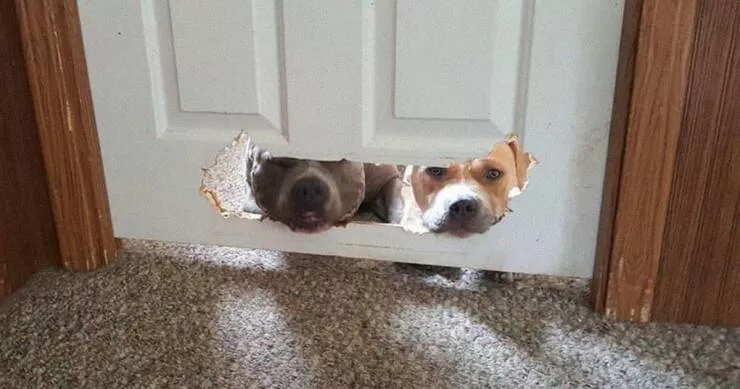 Picdump 670 - #54 