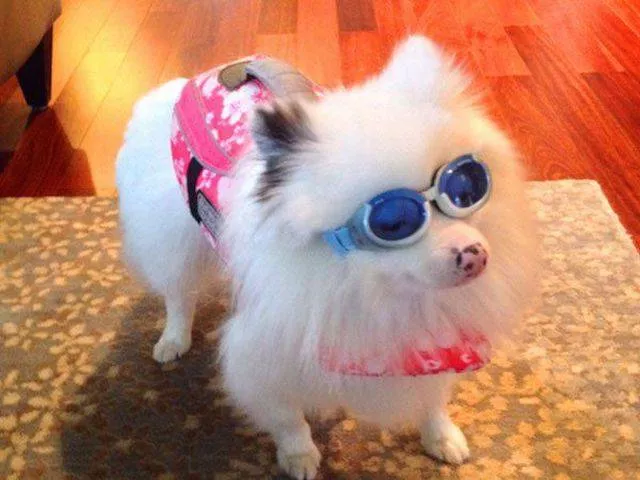 Picdump 99 - #17 