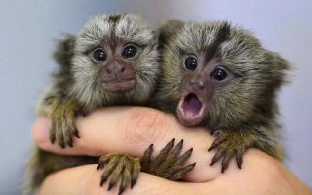 Picdump 99 - #5 