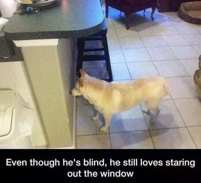 Picdump 99 - #51 
