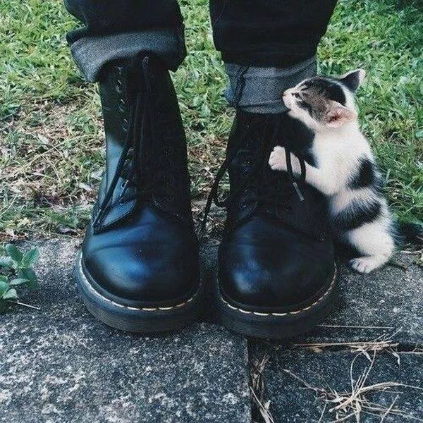 Picdump 99 - #53 