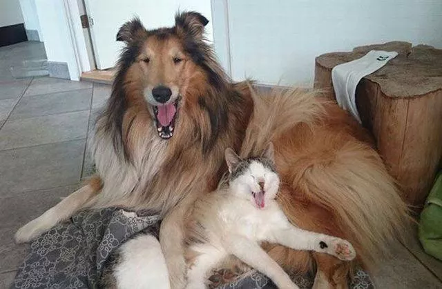 Picdump 99 - #54 