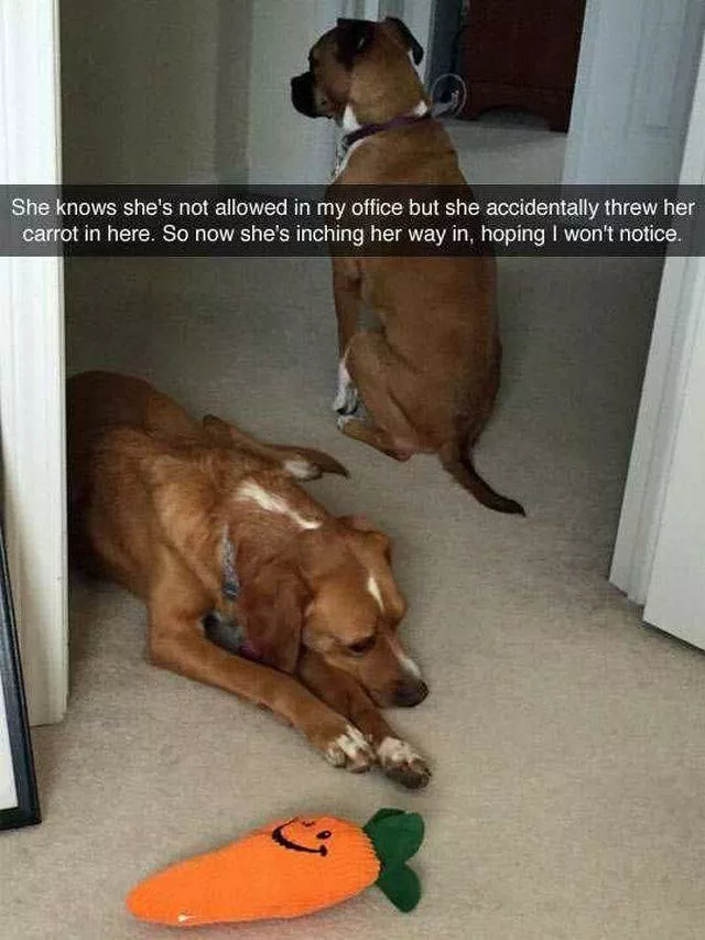 Picdump 99 - #64 
