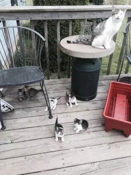 Picdump 99 - #78 
