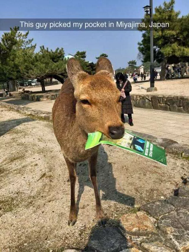 Picdump 99 - #86 