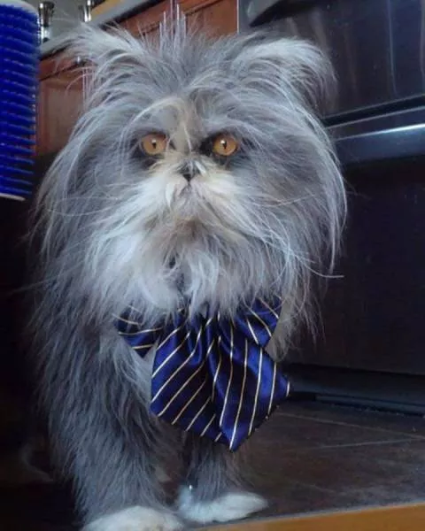 Picdump 99 - #89 