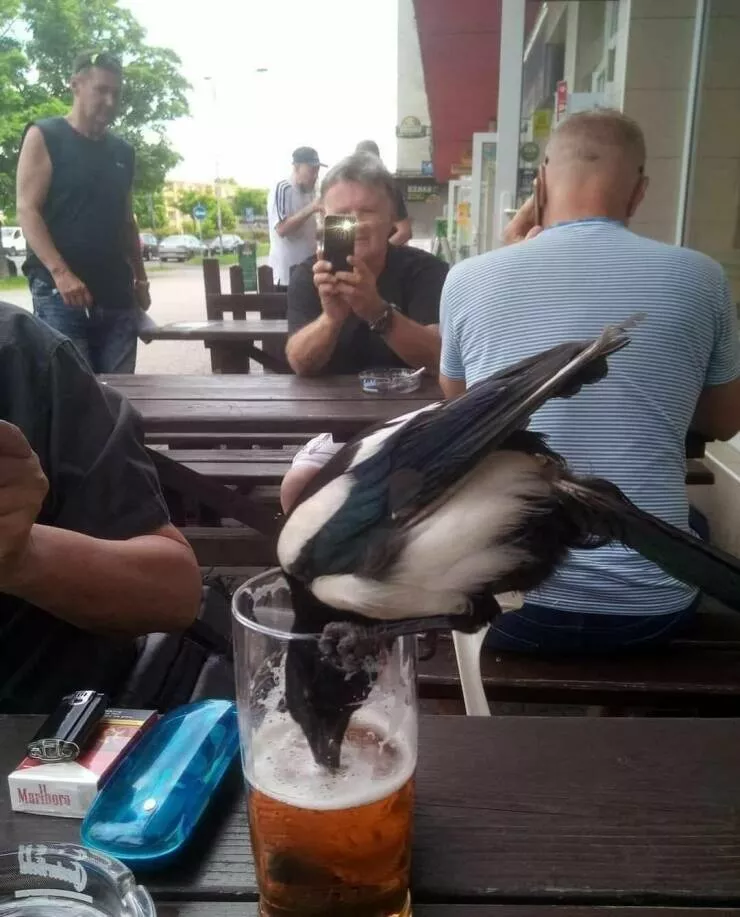 Picdump 671 - #36 