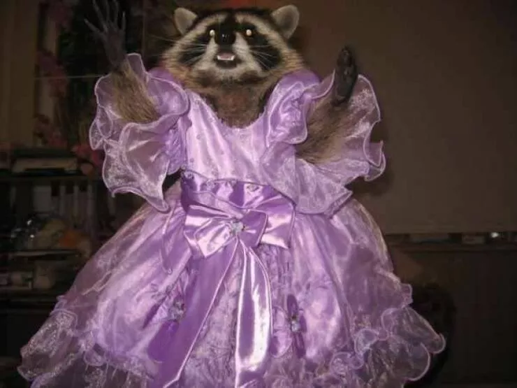 Picdump 671 - #37 
