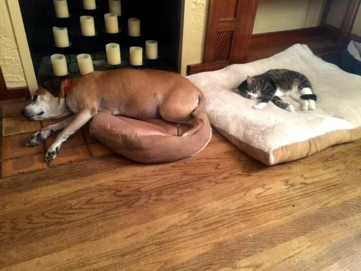 Picdump 671 - #39 