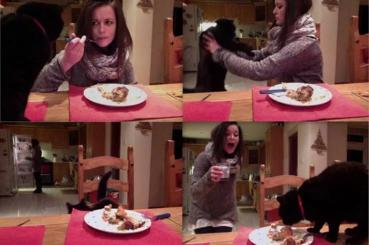 Picdump 671 - #40 