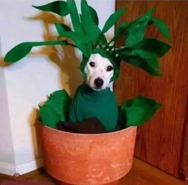 Picdump 671 - #52 