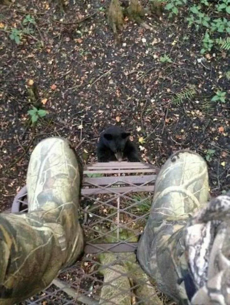 Picdump 672 - #17 
