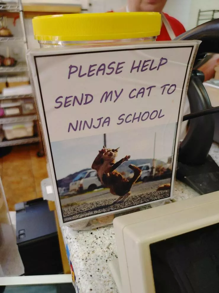 Picdump 672 - #3 