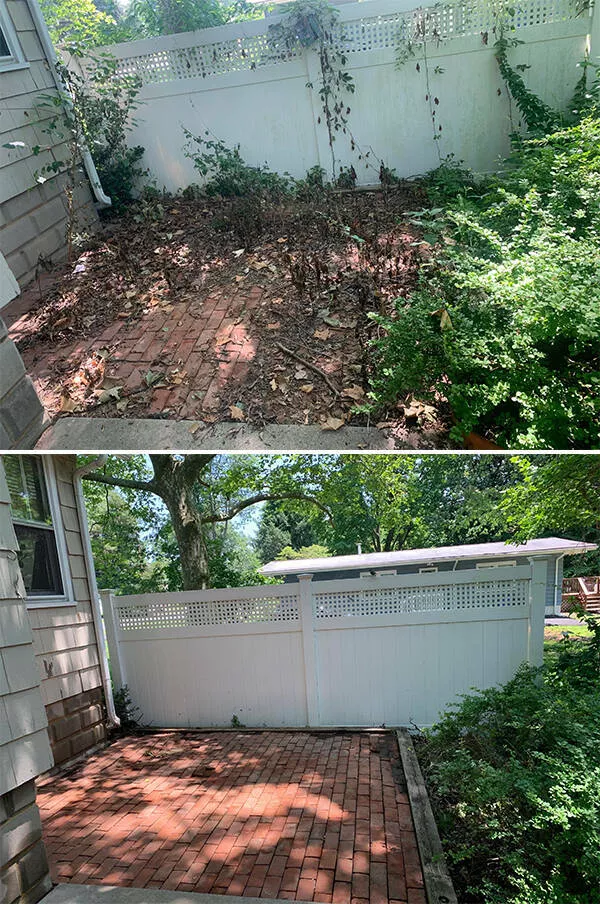 Before and after cleaning - #16 
