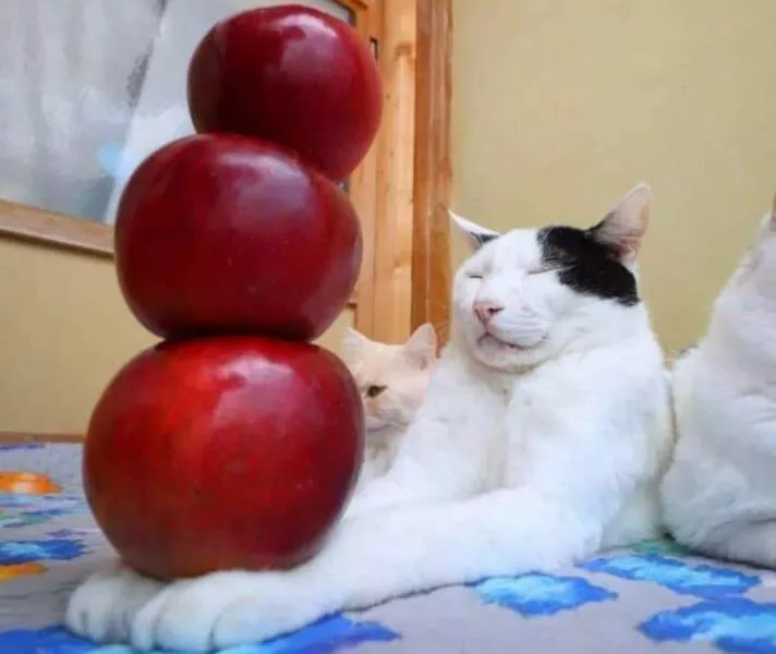 Picdump 673 - #11 