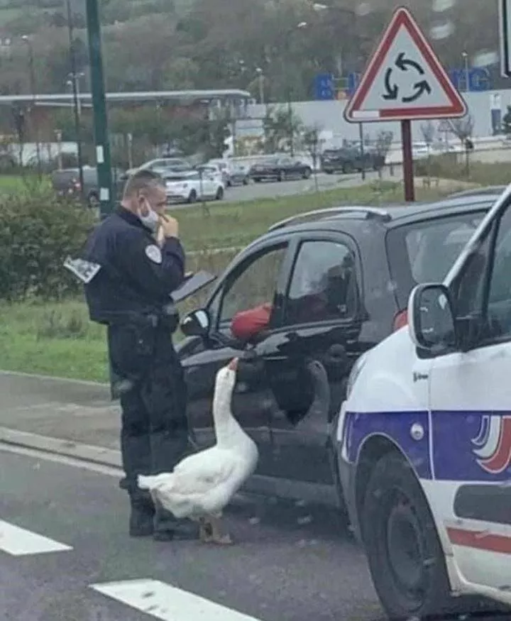 Picdump 673 - #58 