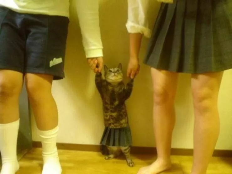 Picdump 673 - #7 