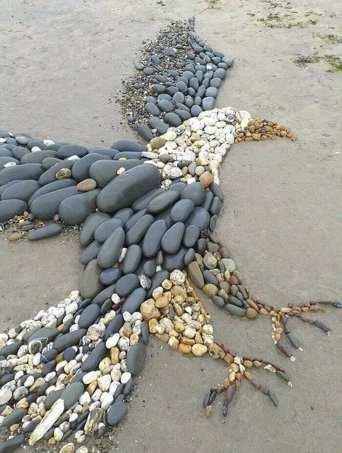 Finds on the beaches like no other - #1 