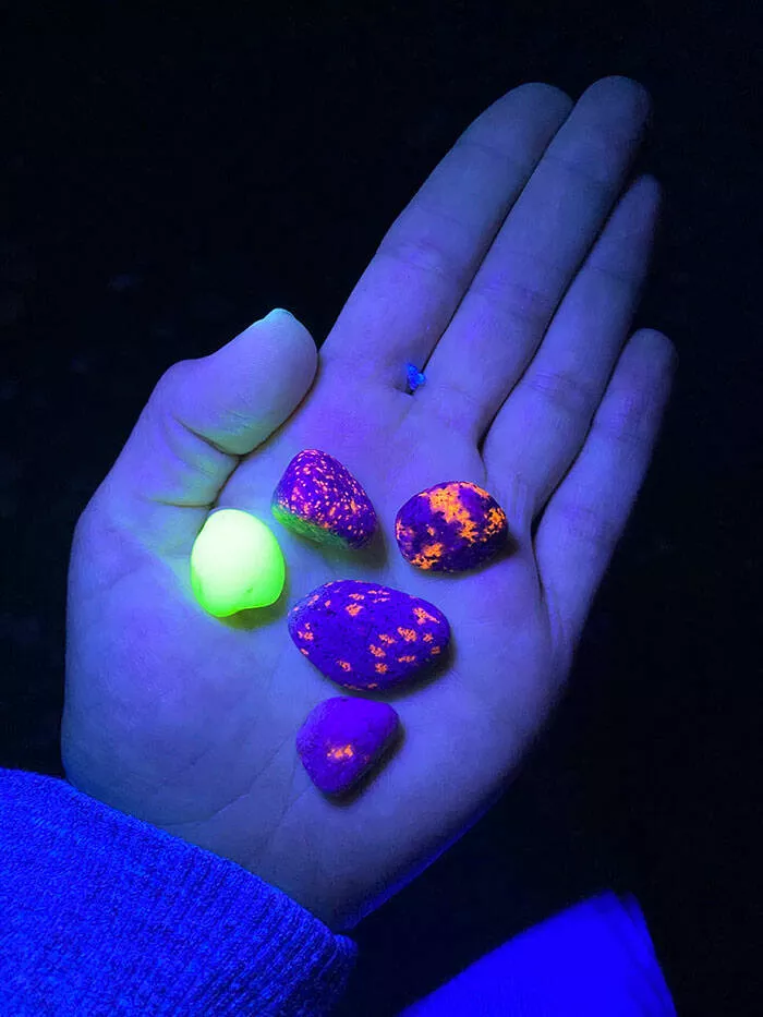 Finds on the beaches like no other - #14 