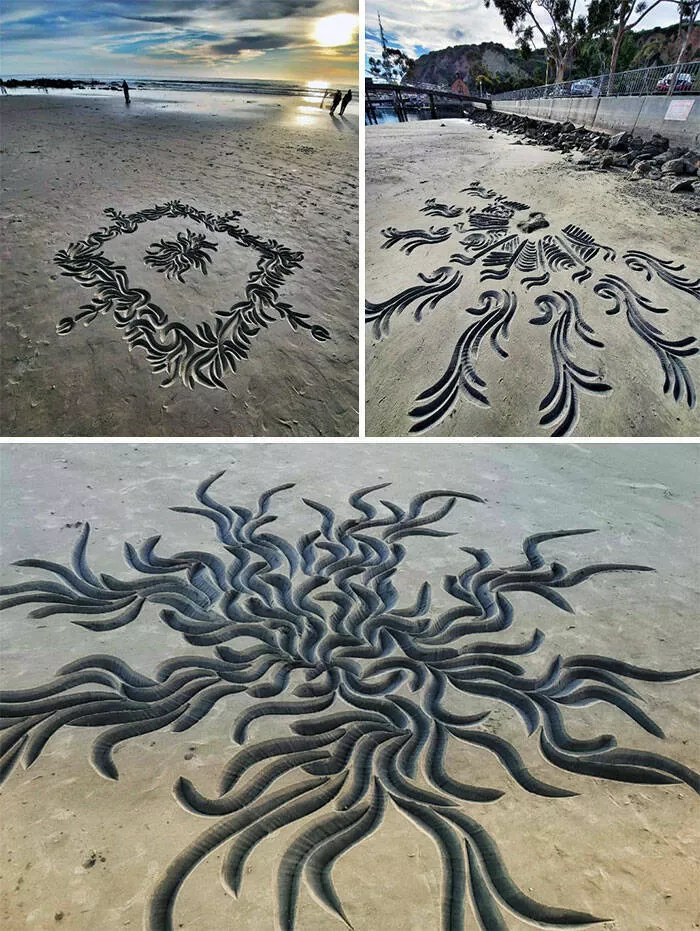 Finds on the beaches like no other - #16 
