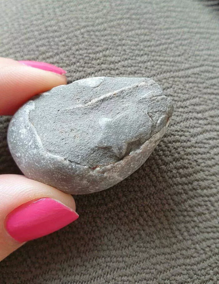 Finds on the beaches like no other - #19 
