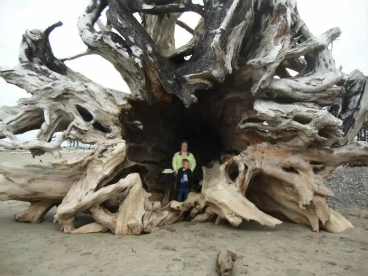 Finds on the beaches like no other