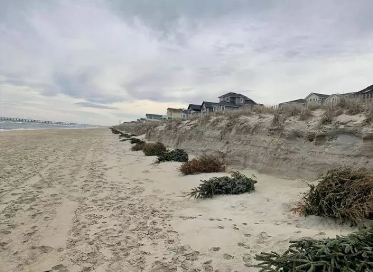 Finds on the beaches like no other - #24 