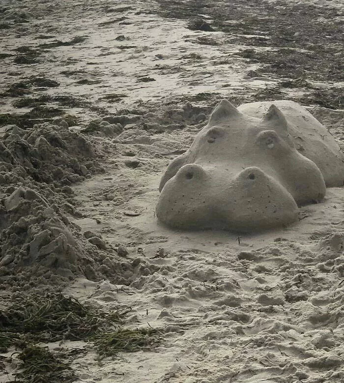 Finds on the beaches like no other - #26 