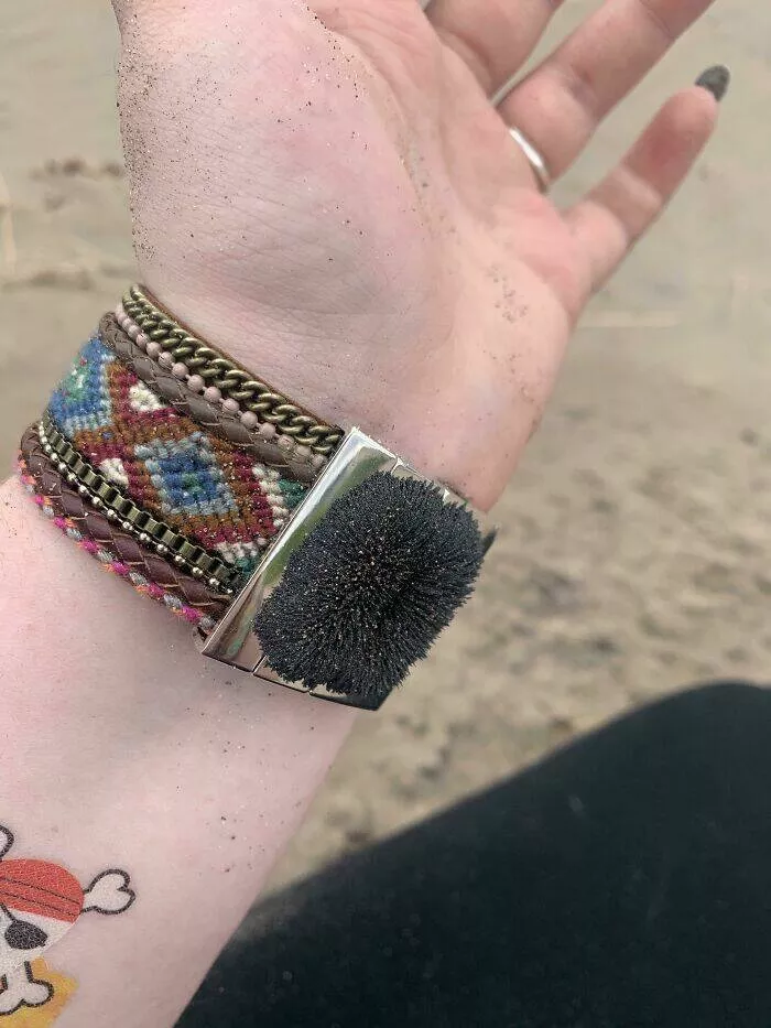 Finds on the beaches like no other - #28 