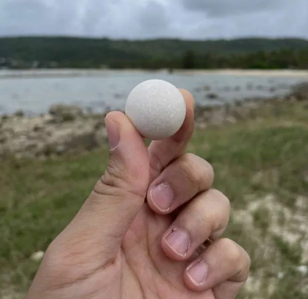 Finds on the beaches like no other - #29 
