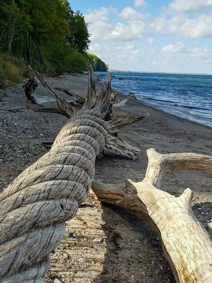 Finds on the beaches like no other - #7 