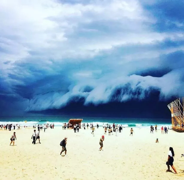 Finds on the beaches like no other - #8 