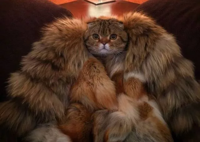 Picdump 3 - #104 