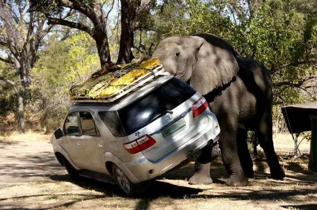 Picdump 3 - #114 