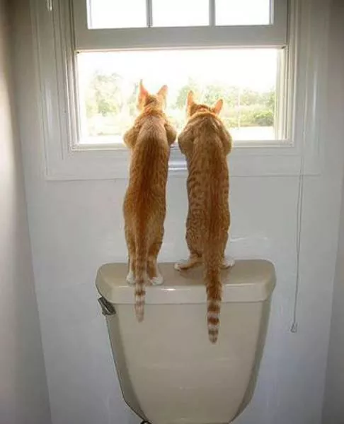 Picdump 3 - #16 