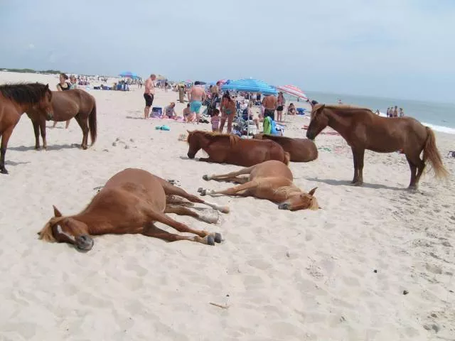 Picdump 3 - #23 
