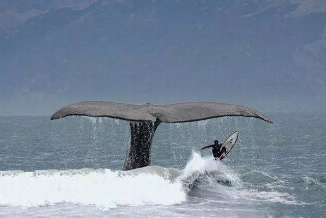 Picdump 3 - #27 