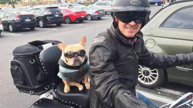 Picdump 3 - #31 