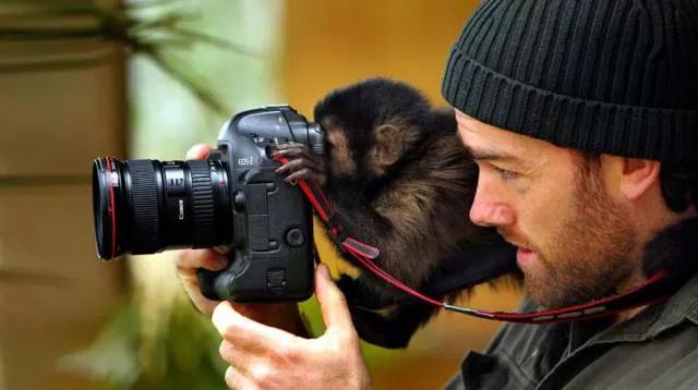 Picdump 3 - #37 