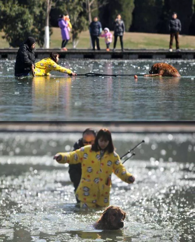 Picdump 3 - #39 
