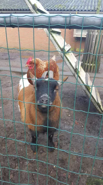 Picdump 3 - #42 