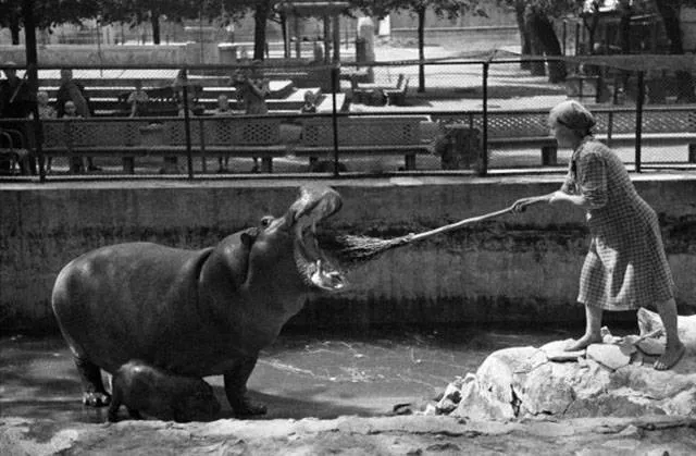 Picdump 3 - #48 