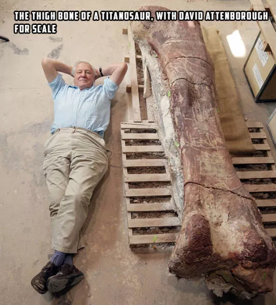 Picdump 3 - #51 