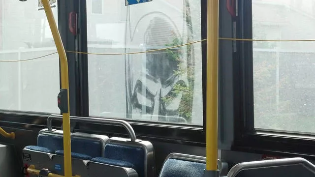 Picdump 3 - #54 