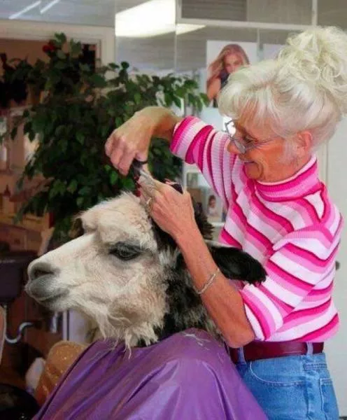 Picdump 3 - #7 