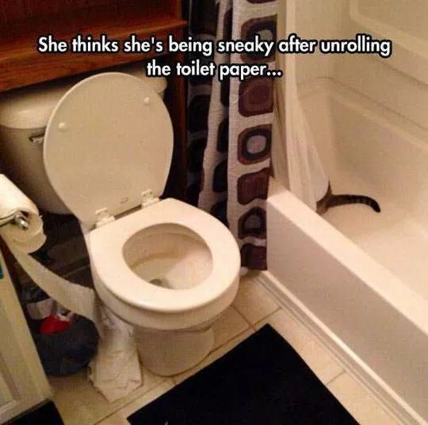 Picdump 3 - #80 