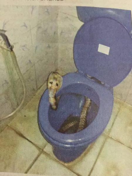 Picdump 3 - #89 