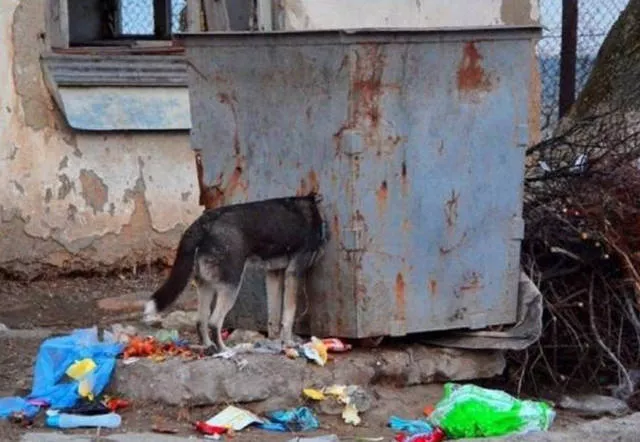 Mysterious pictures never explained - #15 