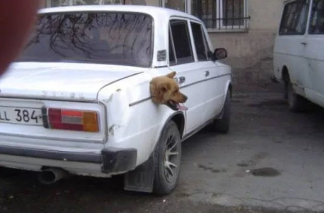 Mysterious pictures never explained - #2 